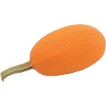 Orangetti F1